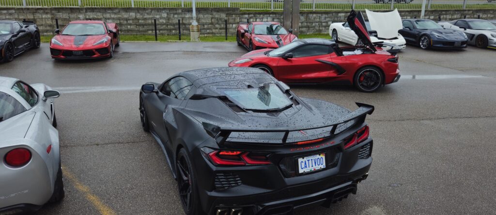 Corvette's